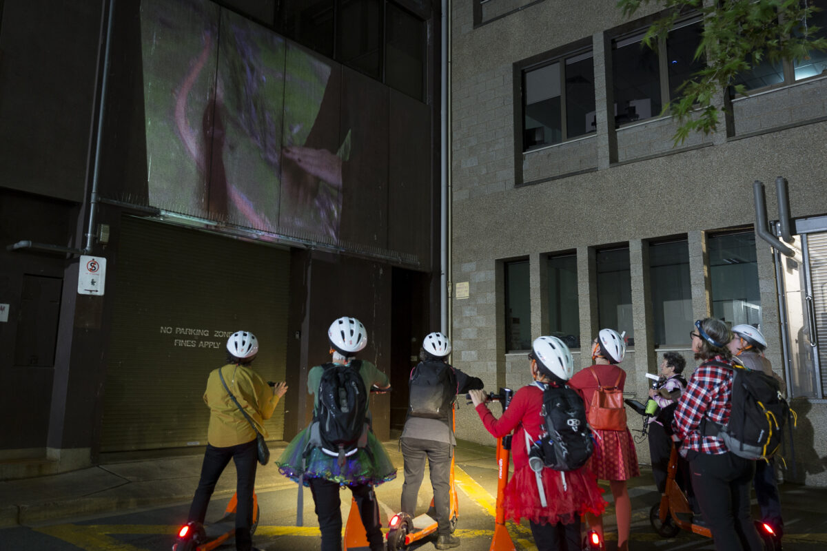 People on bikes looking up at a screen that is projecting a movie